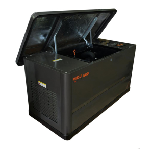 Газовый генератор Mitsui GM 20000 фото