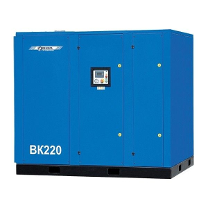 Винтовой компрессор Remeza ВК220-7,5 с прямым приводом Винтовой компрессор Remeza ВК220-7,5 с прямым приводом фото