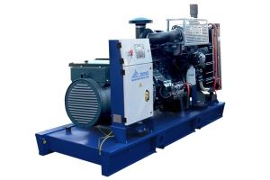 Дизельный генератор ТСС АД-50С-Т400-1РМ20 (Mecc Alte) 016283 фото