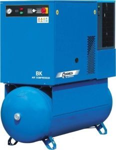 Винтовой компрессор Remeza ВК15Е-10-500ДФ с осушителем Винтовой компрессор Remeza ВК15Е-10-500ДФ с осушителем фото