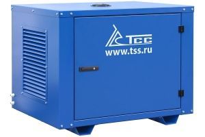 Бензиновый генератор ТСС SGG 6000EHNA в кожухе МК-1.1 110106 для газового котла Бензиновый генератор ТСС SGG 6000EHNA в кожухе МК-1.1 110106 для газового котла фото