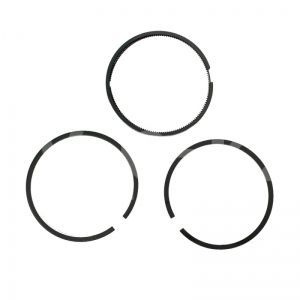 4080120000 Комплект поршневых колец  D.59 фото