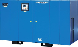 Винтовой компрессор Remeza ВК100Р-10 с прямым приводом Винтовой компрессор Remeza ВК100Р-10 с прямым приводом фото