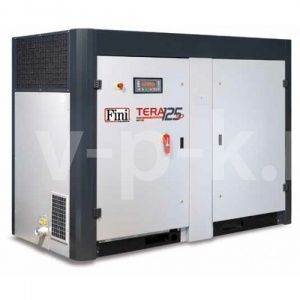 Винтовой компрессор Fini TERA SD 10010 фото