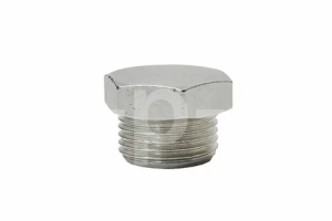 R 4151502300 Заглушка 1/4" mod.11/B (аналог 3101.00.00.203) для 500w95-16 фото
