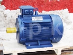 Электродвигатель АИР 100 L2 для компрессора АСО-Бежецк фото
