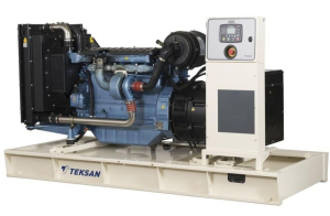 Дизельный генератор TEKSAN TJ1000BD5C  фото