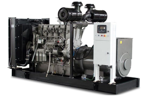 Дизельный генератор ТСС АД-600С-Т400-1РМ8 999983 фото