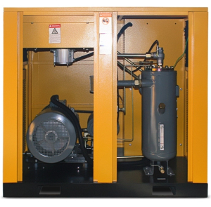 Винтовой компрессор Berg ВК-30Р-Е 12 (IP54) стационарный фото