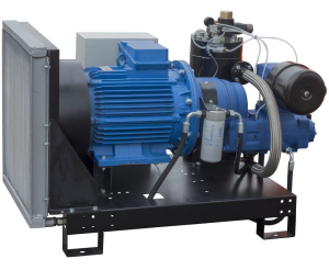 Винтовой компрессор Арсенал ЗИФ-СВЭ-3,5/1,0 без кожуха Винтовой компрессор Арсенал ЗИФ-СВЭ-3,5/1,0 без кожуха фото