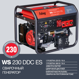 Бензиновый генератор Fubag WS 230 DDC ES 646248 для дачи фото